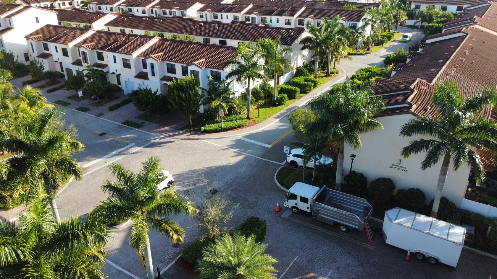 Palm-lined streetscapes